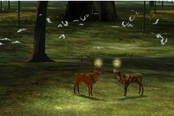 Tale of Tales â€“ â€˜The Endless Forest: Phase 3â€™ , 2007